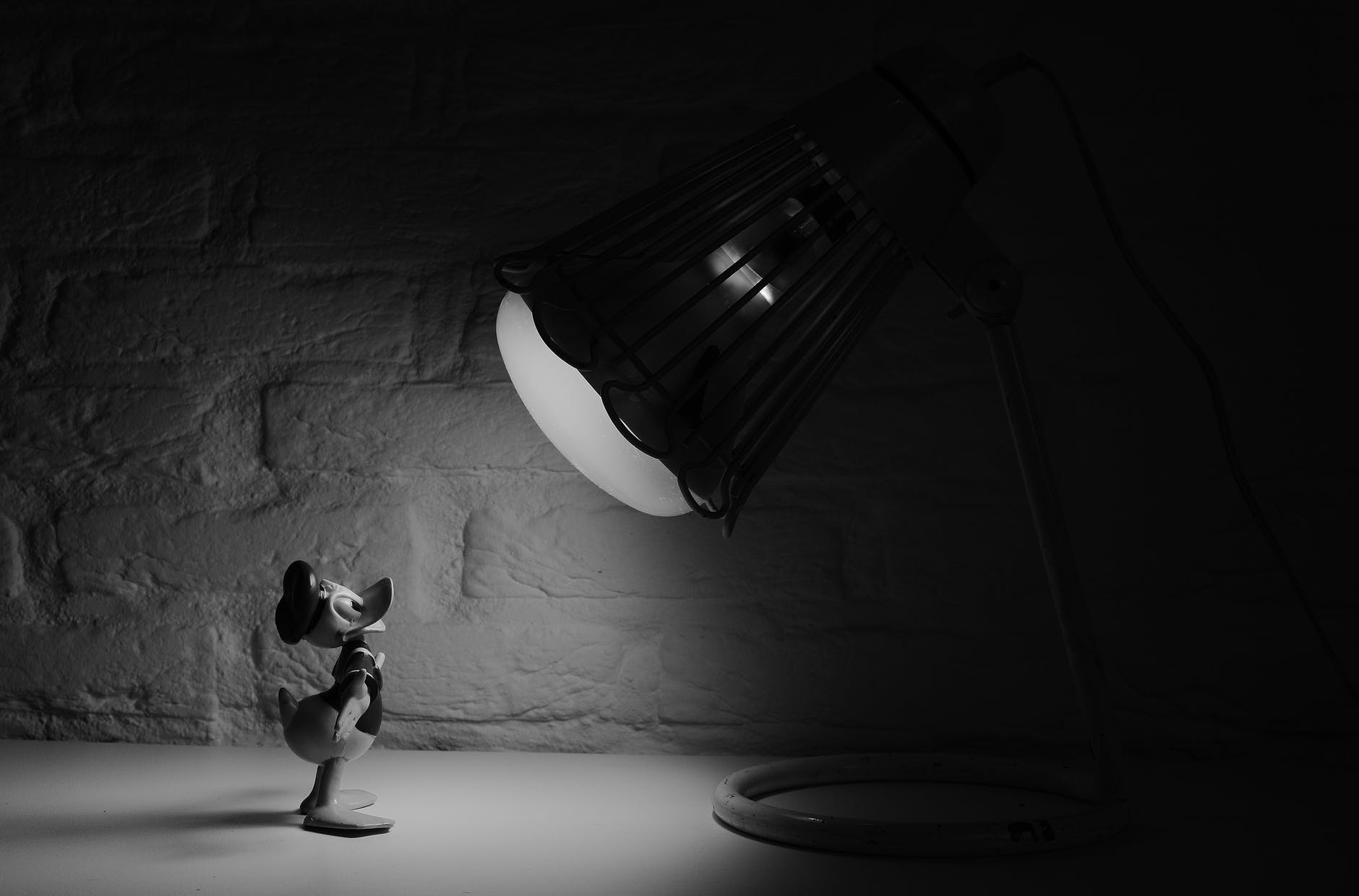 black and white cartoon donald duck spotlight